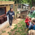 How many eggs will be in the box?