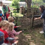 Learning how to feed a goat