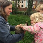 Stroking a hen